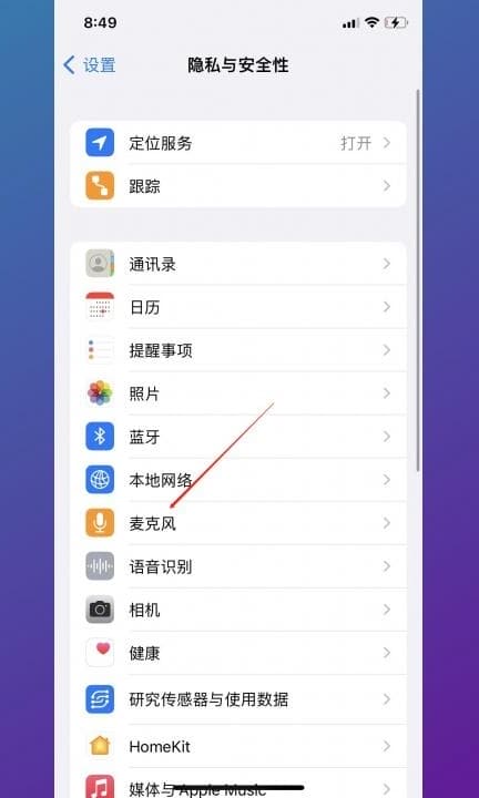 苹果手机麦克风设置在哪里第2步