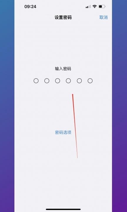 苹果手机开机密码怎么设置第3步