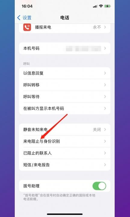 苹果13怎么设置骚扰电话拦截第2步