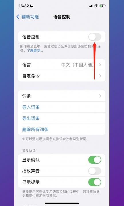 怎么关闭语音控制第3步