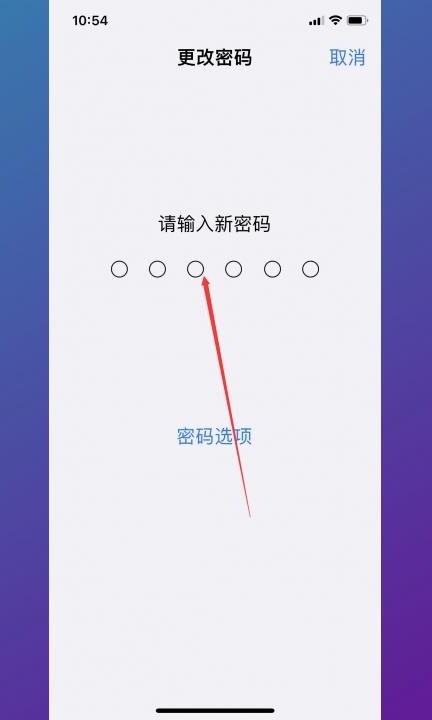 如何更改隐私密码第4步