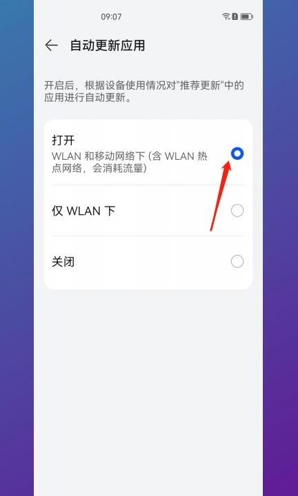 自动更新怎么打开第3步