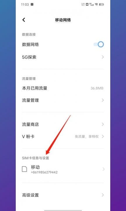 vivox90怎么关闭5g网络换4g第2步
