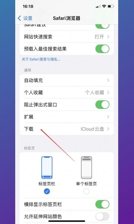 苹果safari下载的文件在哪第2步