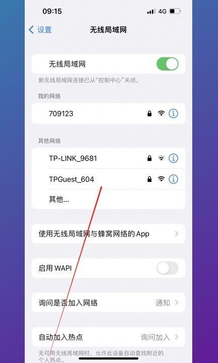 苹果屏幕镜像一直转圈是怎么回事第3步