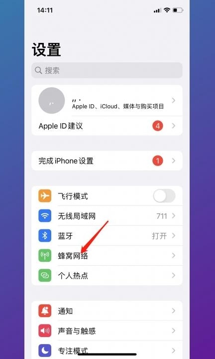 你的iphone尚未接入互联网什么意思第2步