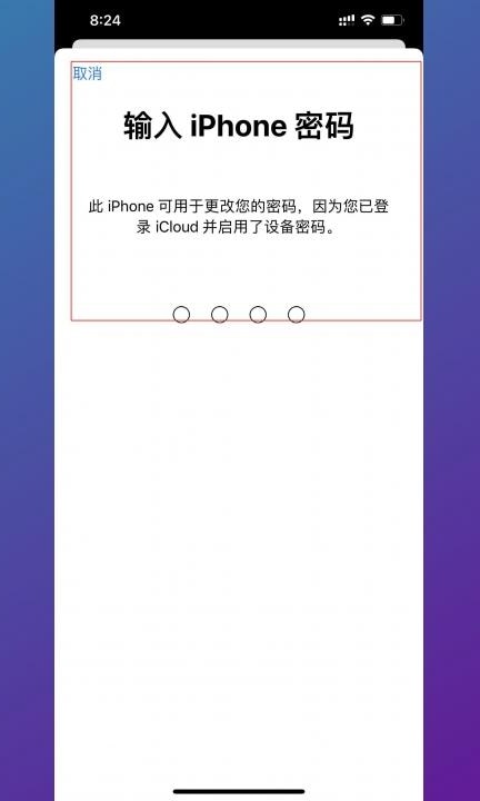 appleld忘记了怎么办第4步