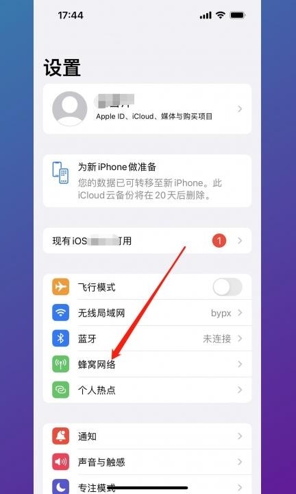 iphone13关闭5g开关第1步