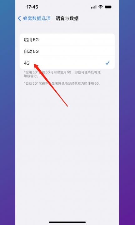 iphone13关闭5g开关第4步