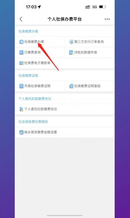 手机上怎么缴纳城乡居民医保第4步